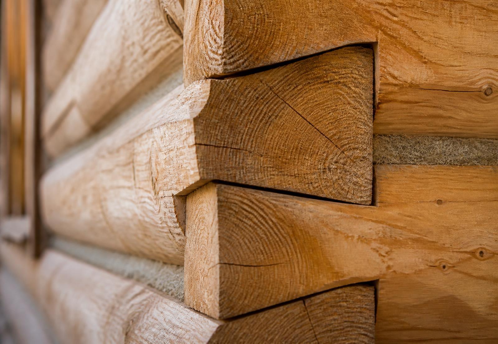 Close-up of hand-fitted full-scribe log joinery and chinking